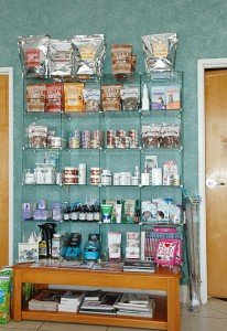 Feline Health at All About Cats