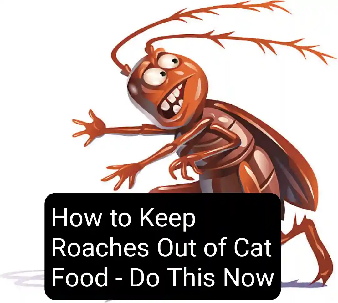 How to Keep Roaches Out of Cat Food - Do This Now