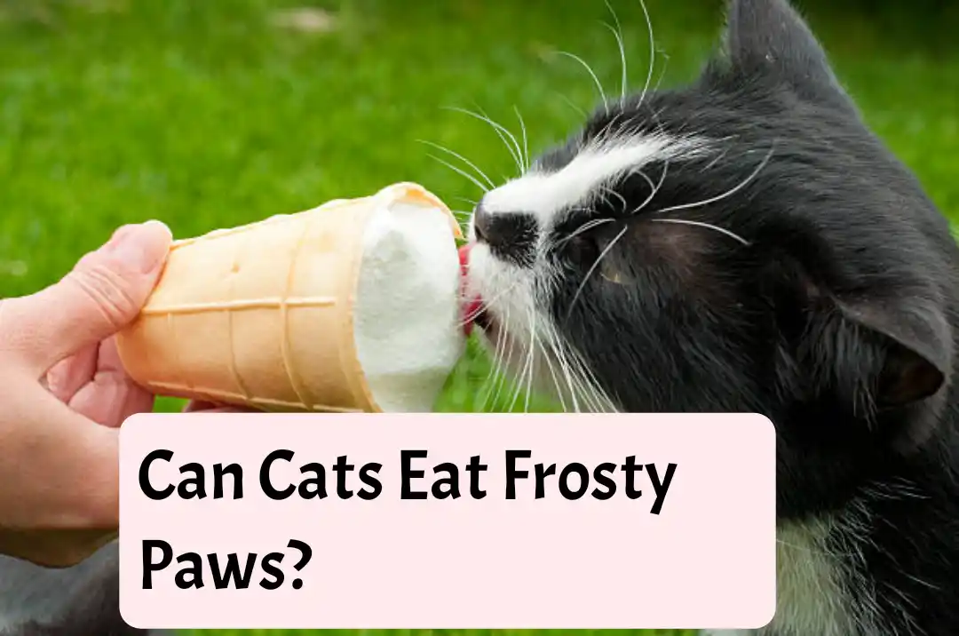 https://en.m.wikipedia.org/wiki/Frosty_Paws