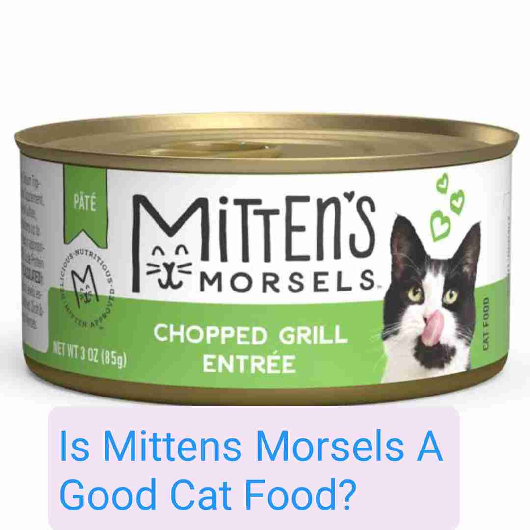 Is Mittens Morsels A Good Cat Food?