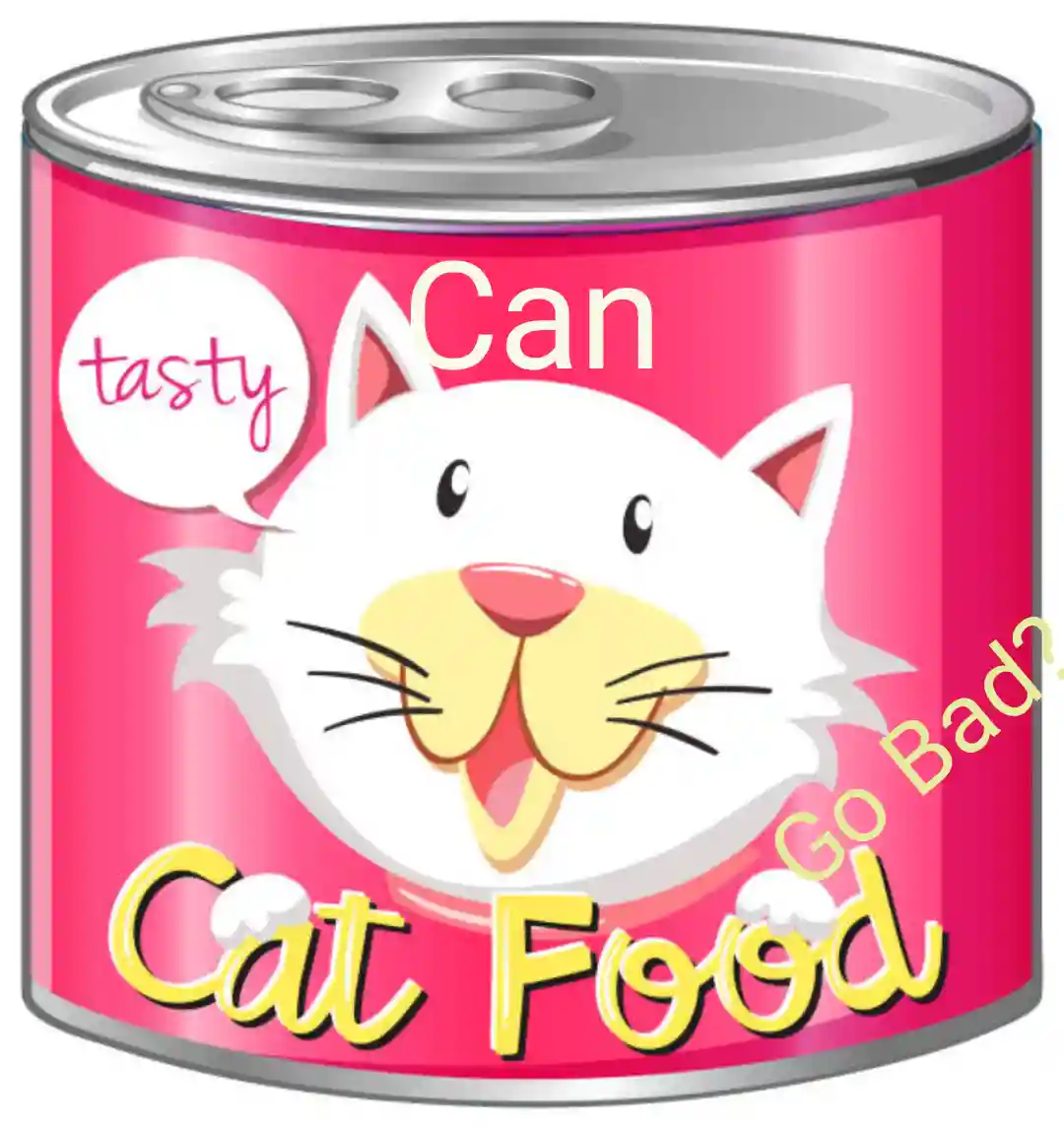 Does Canned Cat Food Go Bad In Heat?