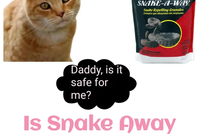 Is Snake Away Safe For Cats?