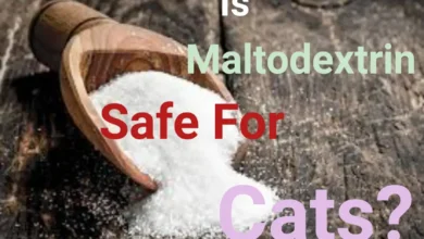 is maltodextrin safe for cats?