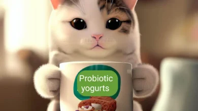 Can Cats Eat Probiotic Yogurt?